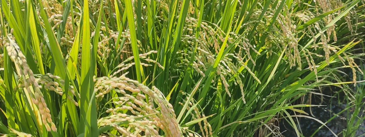 IMG_20250907_094054_HDR